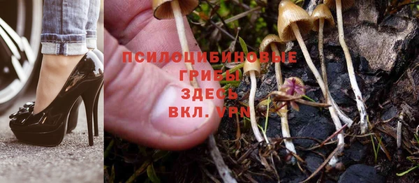 прущие крисы Алексин