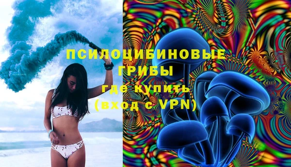 гидра Алзамай