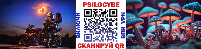 Галлюциногенные грибы GOLDEN TEACHER гидра ТОР Мураши